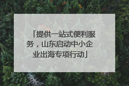 提供一站式便利服务，山东启动中小企业出海专项行动